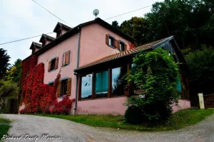 Image of Appartement au Calme Dans la Nature en Alsace