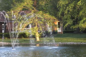 Image of Upscale, Luxurious Home with Lake View and Fountains!