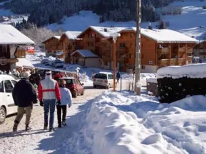 Image of Appartement cosy avec piscine à 300m du lac de baignade, proche du village et des pistes - Praz-sur-Arly - FR-1-603-62