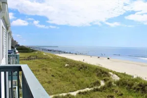 Image of Beach Master 305