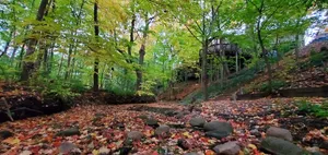 Image of Wisconsin Treehouse Getaway!