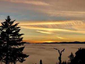 Image of Chehalem Mountain Wine Cottage With Sweeping Views Of  Wine Country