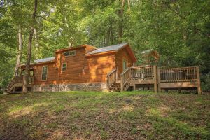 Image of Nana Cabin | Tiny Log Home Comfort in Rustic Bliss