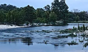Image of The River Runs Through it.... So Peaceful and Quite!