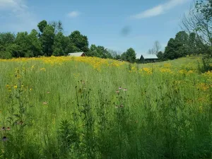 Image of The Cabin.