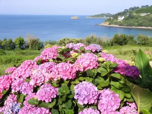 Image of House direct access to the beach from the garden.