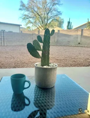 Image of Desert Rose is a spacious 3 bedroom 2 bath house close to downtown