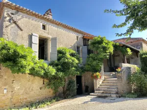 Image of Character stone Lot house with swimming pool.