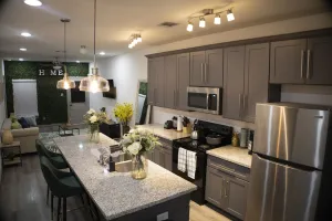 Image of Entire Luxury 3 bed unit| Houston|near NRG|Med Center