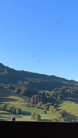 Image of 315 - Praz sur Arly