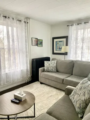 Image of Mint Vintage 2 bed apt Walk to the locks Sault USA