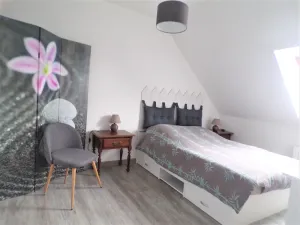 Image of Orchid, large bright apartment, free wifi, garden, parking