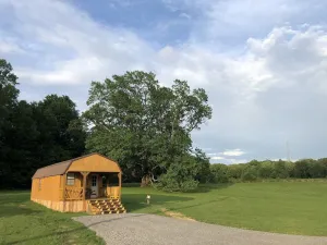 Image of Big Tree Little Cabin