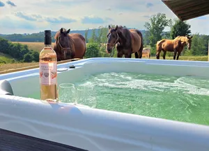 Image of Private Farm Cottage surrounded fields, farm animals, mountain views & hot tub!