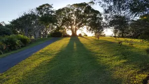 Image of Tropical Coast Retreat - Pet Friendly - Adult only