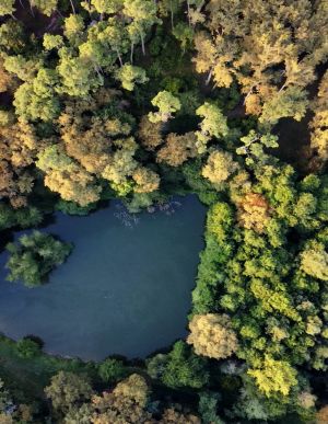Image of Château Caillivet au cœur d'un vignoble Bio 14 personnes