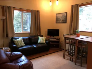 Image of Bright, open Girdwood studio