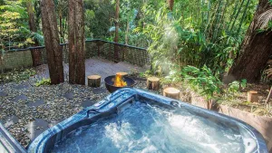 Image of Karens Place - Rainforest retreat
