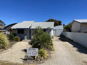 Image of Blue Poles - Pet Friendly