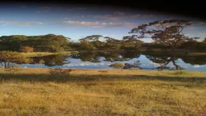 Image of Wings Barossa Bird & Bush Retreat