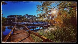 Image of House in a lovely environment (lake, forest and ocean)