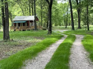 Image of Dogs Love The Tack Room Private Cottage in Camden SC Horse Country