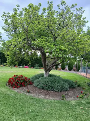 Image of Sherry house