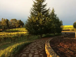 Image of Gated Wine Country Estate Amid Hundreds of Acres of Vineyards