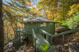 Image of Tree House in Center of Helen