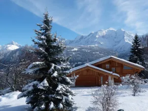 Image of F2 apartment in chalet facing Mont Blanc (pets not allowed)