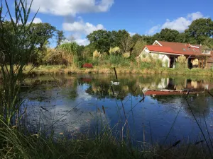 Image of A little oasis in the middle of nature