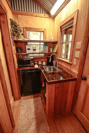 Image of Happy Pine Cone