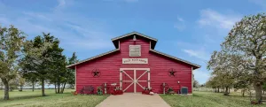 Image of Blazing Saddles- Solid Rock Ranch