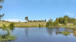 Image of Noble Willow Studio Lovedale. A Cosy Unique Wine Country Refuge
