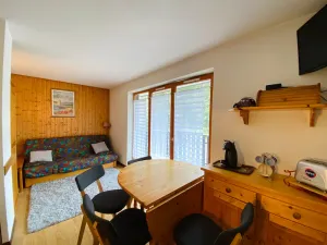 Image of Studio cabine confortable entre Abondance et La Chapelle d'Abondance - FR-1-692-97