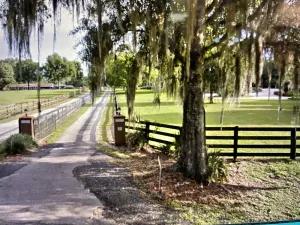 Image of Farmhouse on acreage, Ocala, FL