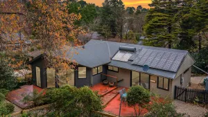 Image of Leura Pines