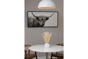 Image of The Easy in BTX
