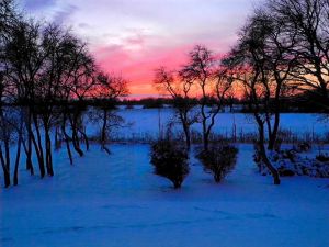 Image of Fantastic secluded location on the river Aland in a nature reserve.