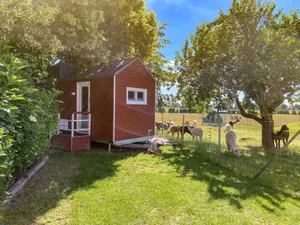 Image of Tiny house on the alpaca farm - Tiny House