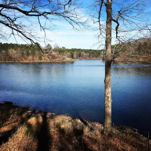 Image of Relaxing Retreat on Lake Catherine in Hot Springs! Private Dock! Golf!