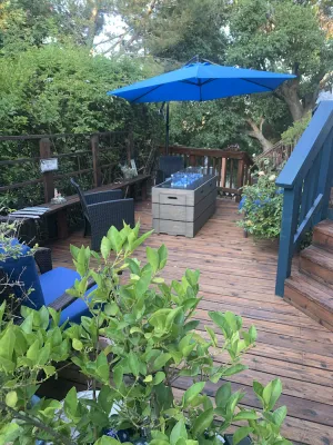 Image of Gorgeous Hayward Hills Solar Home with EV Level 2 Charger