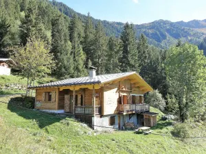 Image of Chalet cosy sur pistes avec cheminée, terrasse et studio indépendant pour 14 pers. - FR-1-342-239