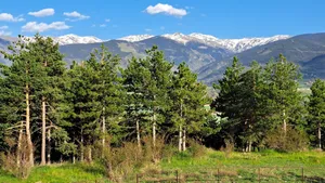 Image of Fresh air and greenery at 4 comfort, 6 convenience