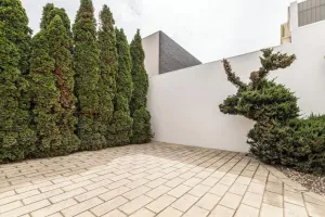 Image of Serene Spacious 2BR Home w\/ Free Parking