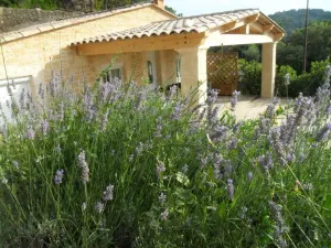 Image of IDYLLIC MAS PROVENCAL ANY COMFORT WITH POOL AND PRIVATE TERRACE