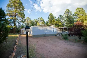 Image of Cabin Style Home Among Ponderosa Pines