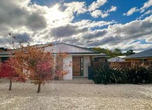 Image of New Kingston Trampoline House