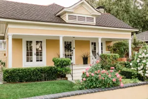 Image of La Belle Vie on Vine