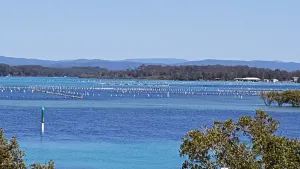 Image of CHILL-OUT LAKESIDE - Wallis Lake Forster